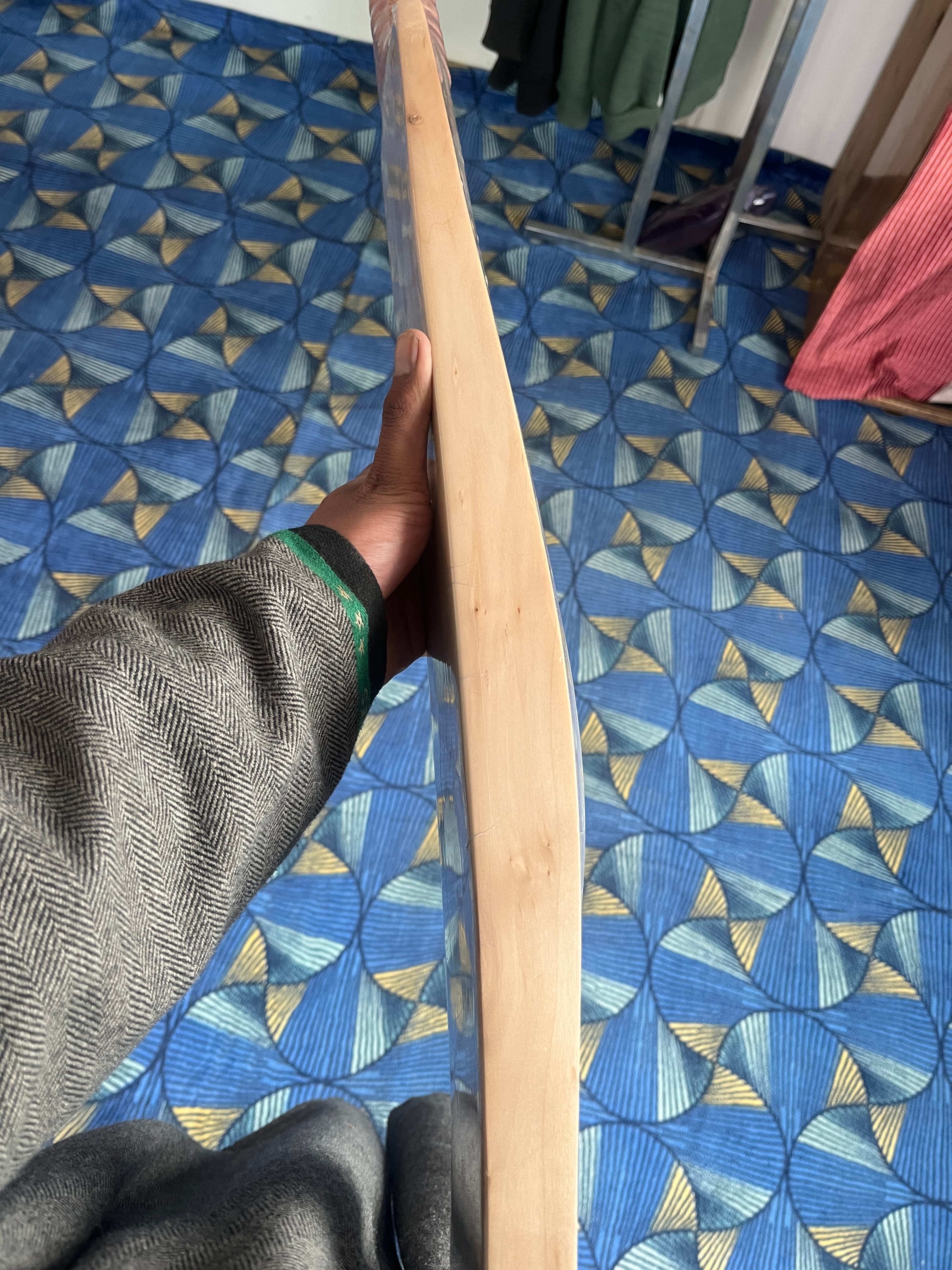 English Willow Budget view 5