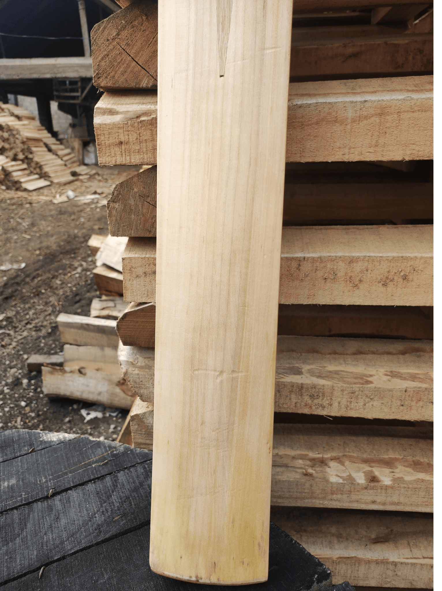 Premium Hard Tennis view 3